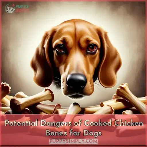Potential Dangers of Cooked Chicken Bones for Dogs