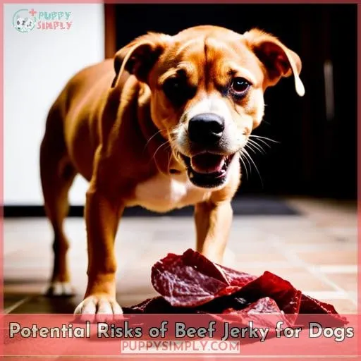 Potential Risks of Beef Jerky for Dogs