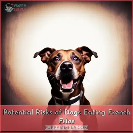 Potential Risks of Dogs Eating French Fries