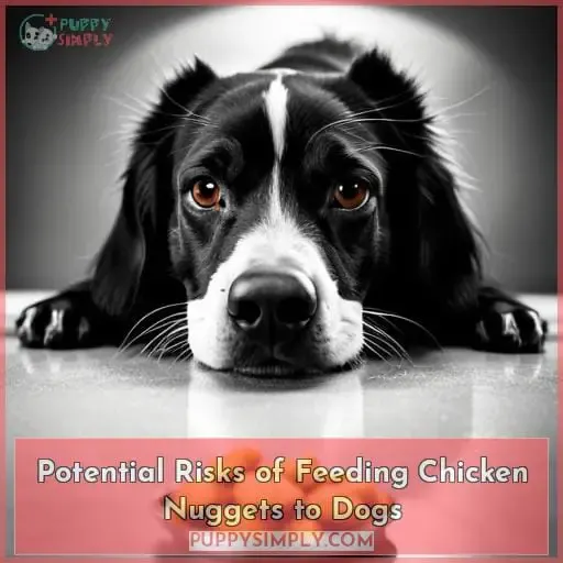 Potential Risks of Feeding Chicken Nuggets to Dogs