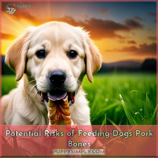 Can Dogs Eat Pork Femur Bones? A Guide for Safe Treats