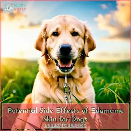 Potential Side Effects of Edamame Skin for Dogs