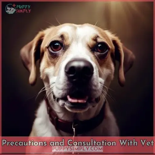 Precautions and Consultation With Vet