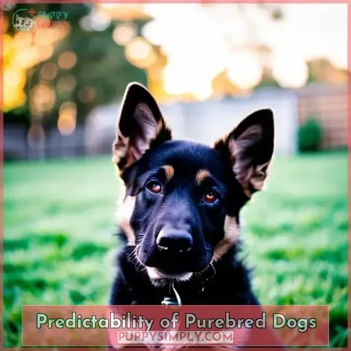 Predictability of Purebred Dogs