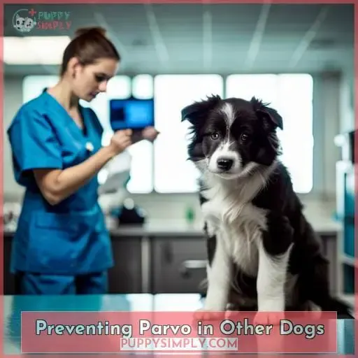 Preventing Parvo in Other Dogs