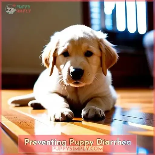 Preventing Puppy Diarrhea