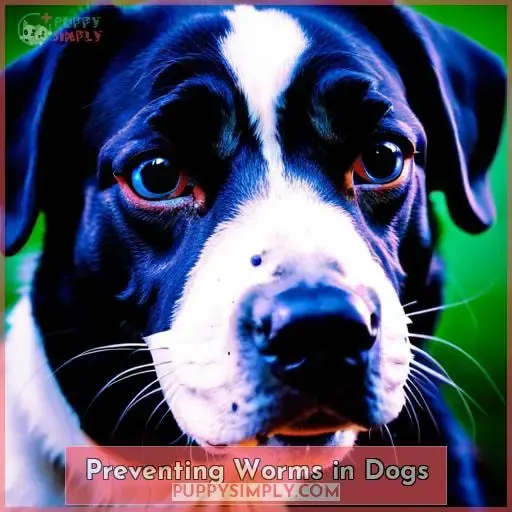 Preventing Worms in Dogs