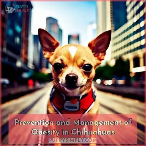 Prevention and Management of Obesity in Chihuahuas
