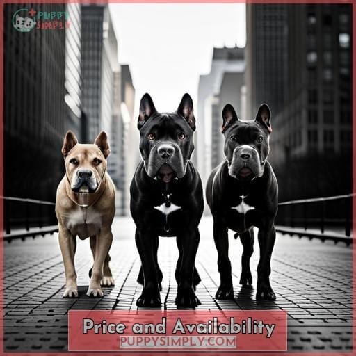 Price and Availability Price and Availability
