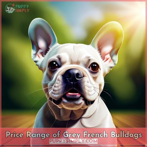 Price Range of Grey French Bulldogs
