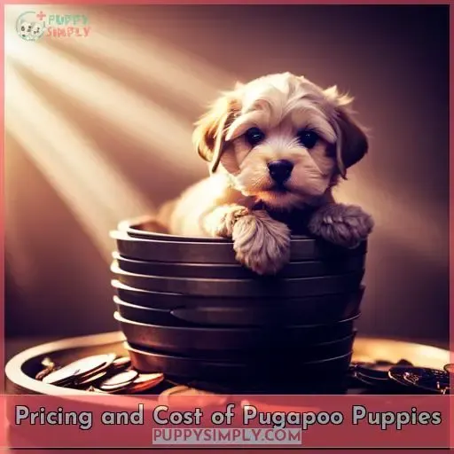Pricing and Cost of Pugapoo Puppies