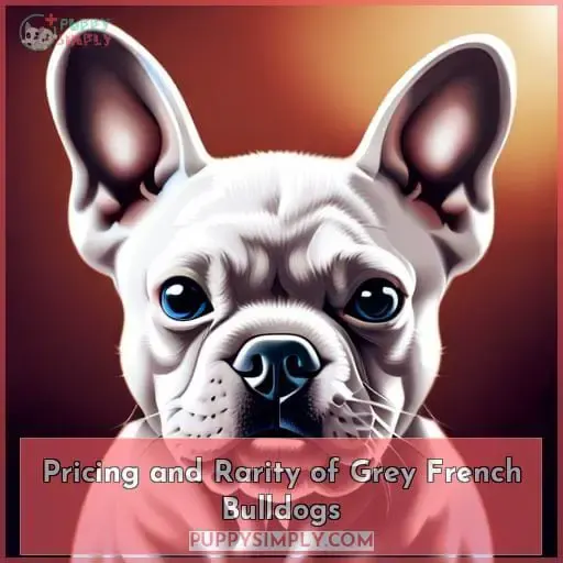 Pricing and Rarity of Grey French Bulldogs
