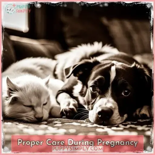 Proper Care During Pregnancy