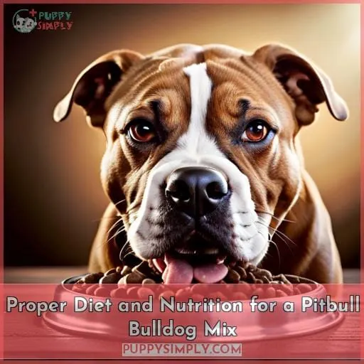 Proper Diet and Nutrition for a Pitbull Bulldog Mix