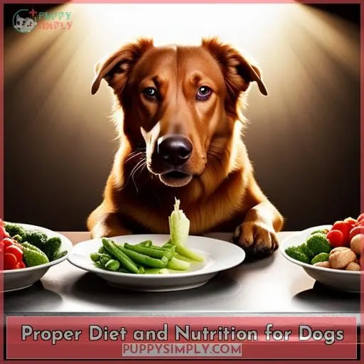 Proper Diet and Nutrition for Dogs
