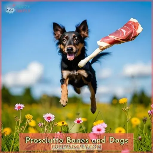 Prosciutto Bones and Dogs