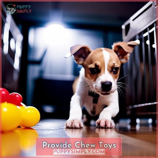 Provide Chew Toys Provide Chew Toys