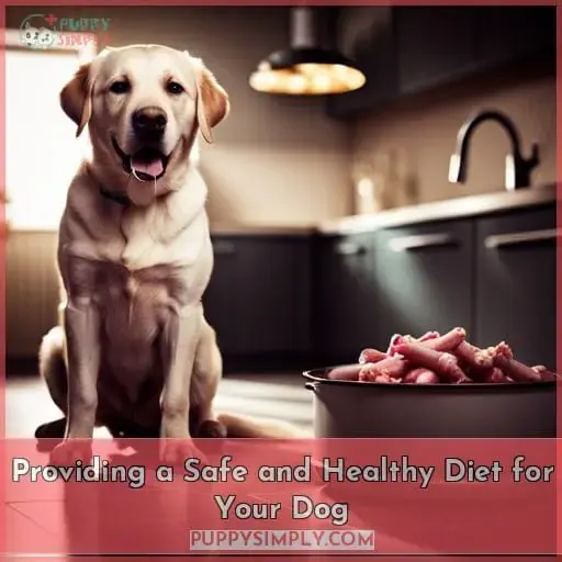 Providing a Safe and Healthy Diet for Your Dog