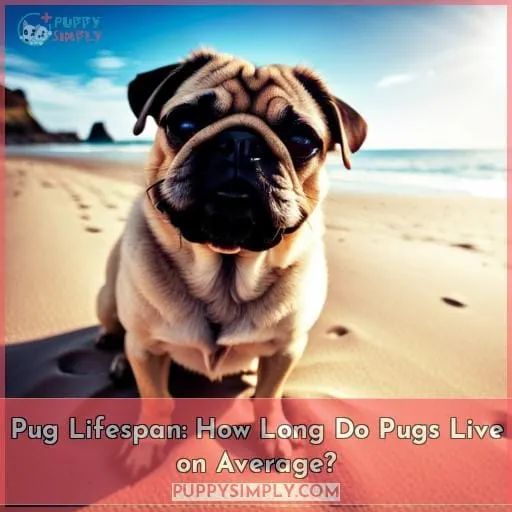 pug lifespan