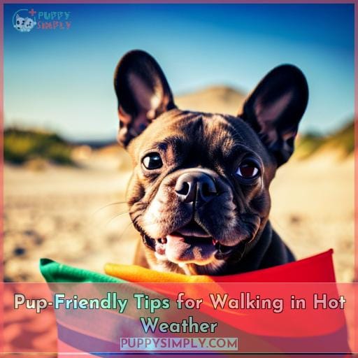 Pup-Friendly Tips for Walking in Hot Weather