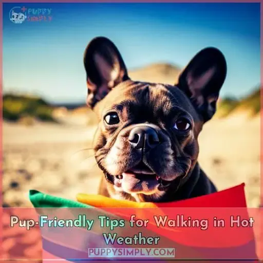 Pup-Friendly Tips for Walking in Hot Weather
