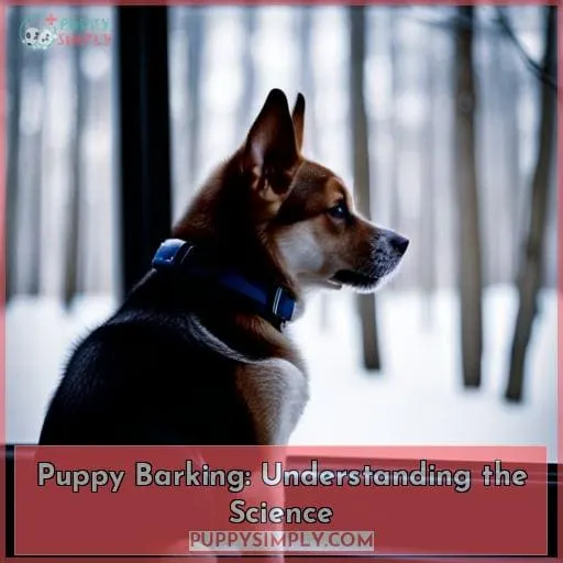 Puppy Barking: Understanding the Science