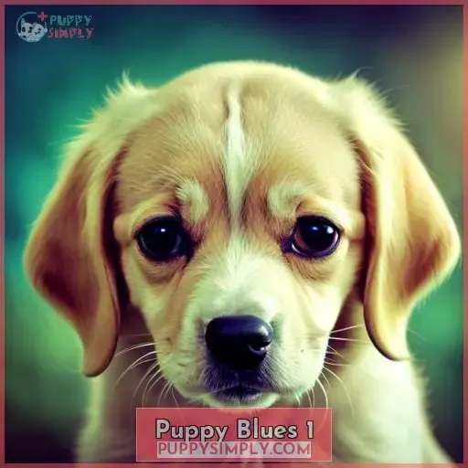 puppy blues 1