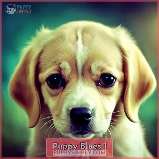 Coping with Puppy Blues: Tips & Strategies for a Happy Dog