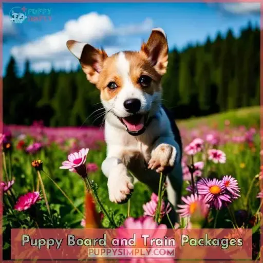 Puppy Board and Train Packages