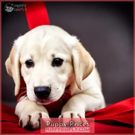 Puppy Prices