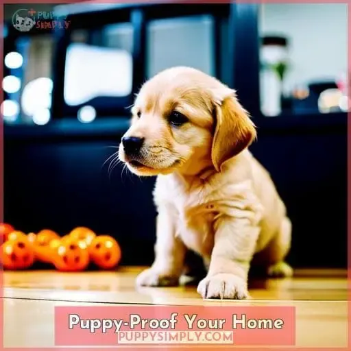 Puppy-Proof Your Home