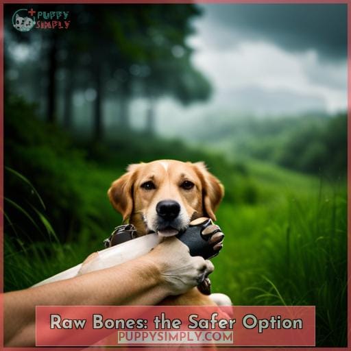 Raw Bones: the Safer Option