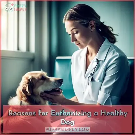 Reasons for Euthanizing a Healthy Dog
