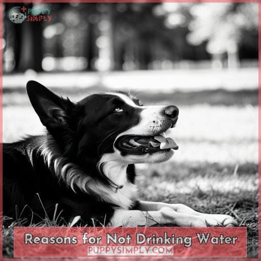 Reasons for Not Drinking Water