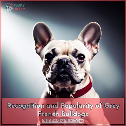 Recognition and Popularity of Grey French Bulldogs