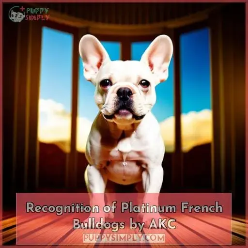 Recognition of Platinum French Bulldogs by AKC