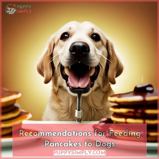 Recommendations for Feeding Pancakes to Dogs
