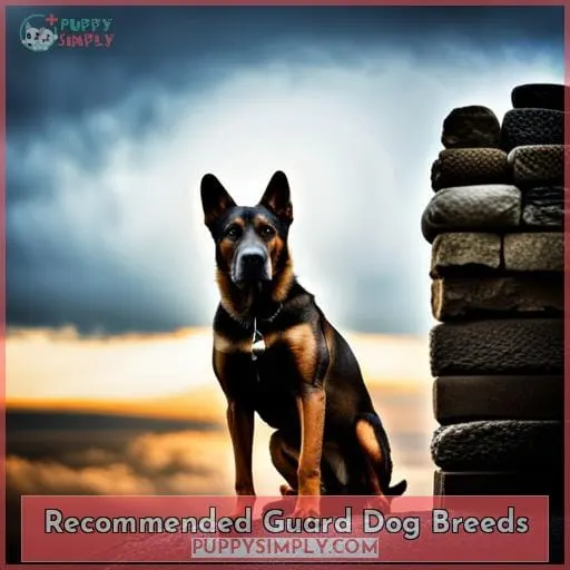 Recommended Guard Dog Breeds