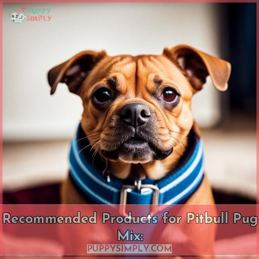Recommended Products for Pitbull Pug Mix: