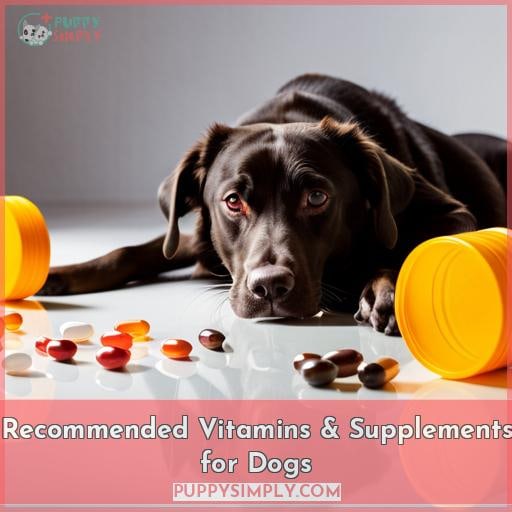 Recommended Vitamins & Supplements for Dogs