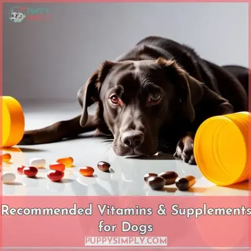 Recommended Vitamins & Supplements for Dogs