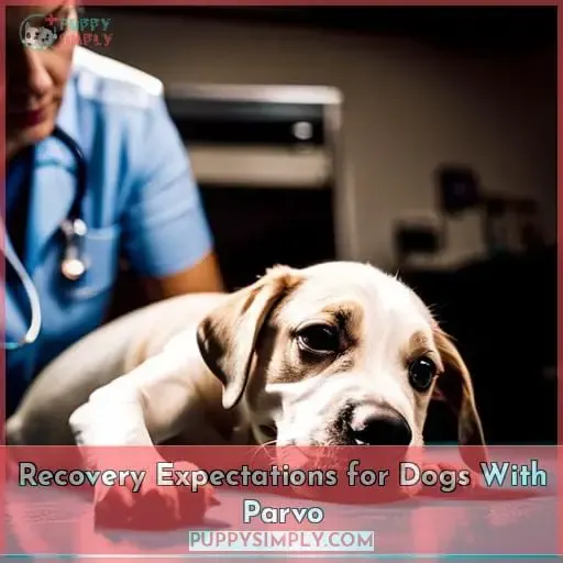 Recovery Expectations for Dogs With Parvo