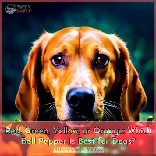 Red, Green, Yellow, or Orange: Which Bell Pepper is Best for Dogs?