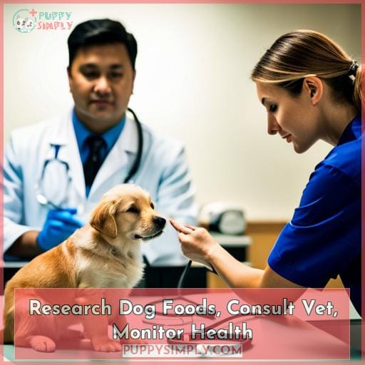 Research Dog Foods, Consult Vet, Monitor Health