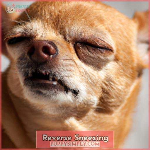 Reverse Sneezing