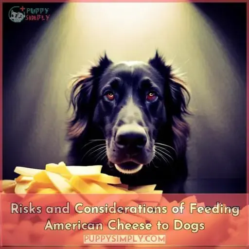 Risks and Considerations of Feeding American Cheese to Dogs