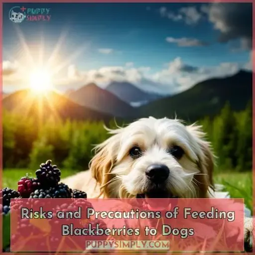 Risks and Precautions of Feeding Blackberries to Dogs