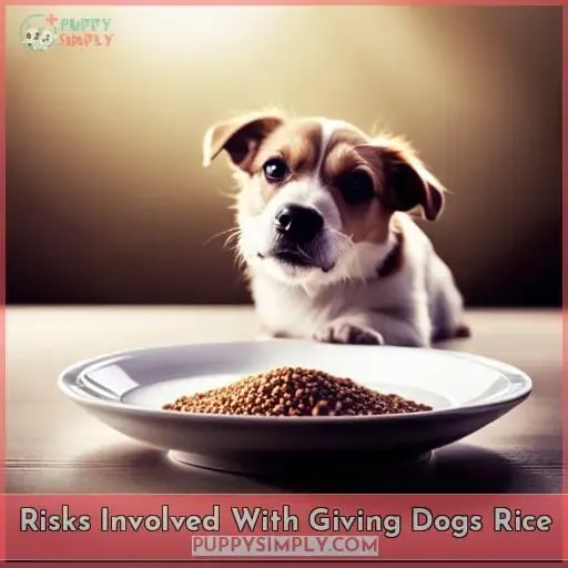 Risks Involved With Giving Dogs Rice