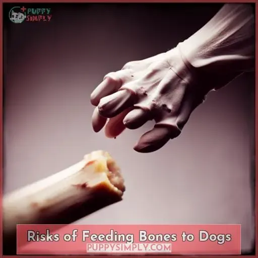 Risks of Feeding Bones to Dogs