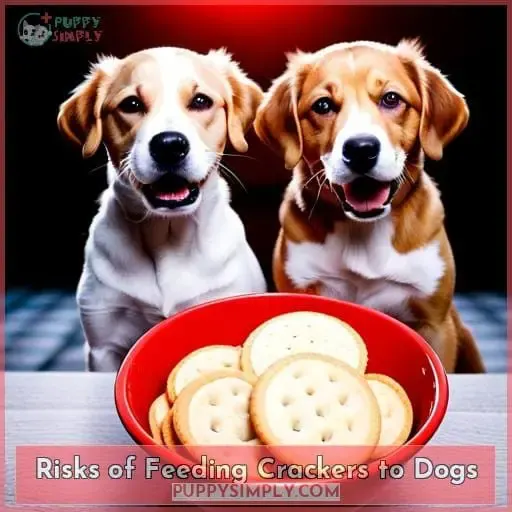 Risks of Feeding Crackers to Dogs